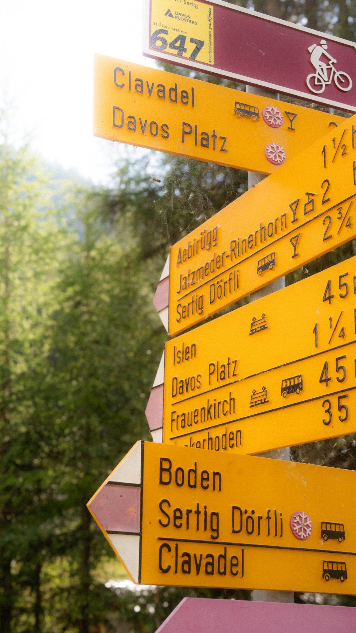 Sometimes a trail says more than a thousand words. 🌼
Sertig is one of those places that makes you want to stay a little longer. 

Manchmal sagt ein Weg mehr als tausend Worte. 🌼
Sertig – einer dieser Orte, an denen man einfach einen Moment länger bleibt.