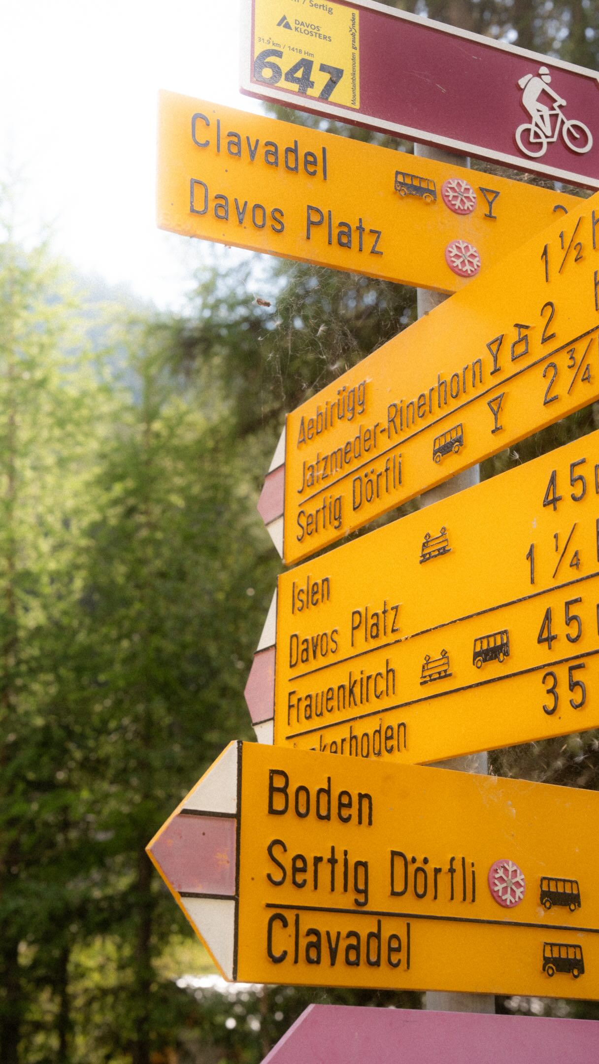 Sometimes a trail says more than a thousand words. 🌼
Sertig is one of those places that makes you want to stay a little longer. 

Manchmal sagt ein Weg mehr als tausend Worte. 🌼
Sertig – einer dieser Orte, an denen man einfach einen Moment länger bleibt.