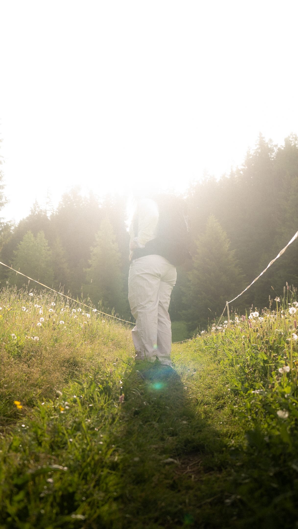 Kurz weg. Tief durchatmen. Davos wirkt. 🌲⛰️

A quick escape. A deep breath. Davos does the rest.